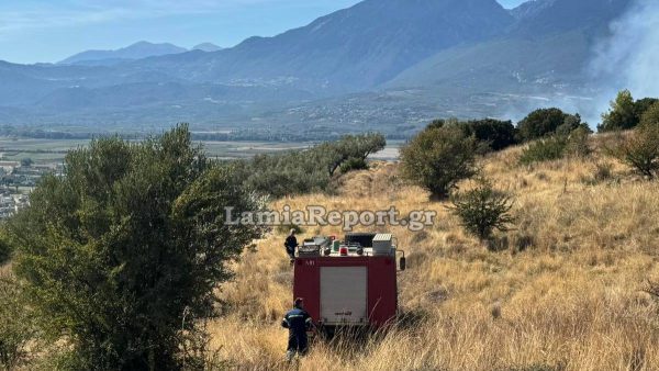 Λαμία: Πυρκαγιά κοντά στο ΚΕΥΠ - Σηκώθηκαν τα PZL (BINTEO)