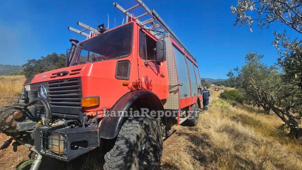 Σύλληψη και πρόστιμα για φωτιές που άναψαν στην Εύβοια