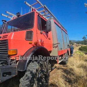 Σύλληψη και πρόστιμα για φωτιές που άναψαν στην Εύβοια