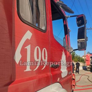 Φθιώτιδα: Έπεσαν πρόστιμα για άναμμα φωτιάς