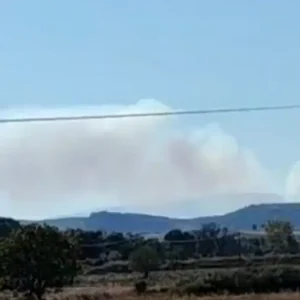 Σουφλί: Πέρασε στην Ελλάδα η μεγάλη φωτιά από τη Βουλγαρία – Ισχυρές δυνάμεις στα σύνορα