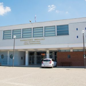 Παγκόσμια πρωτιά για την IVSA Greece με τη συμμετοχή της IVSA Thessaly του Πανεπιστημίου Θεσσαλίας