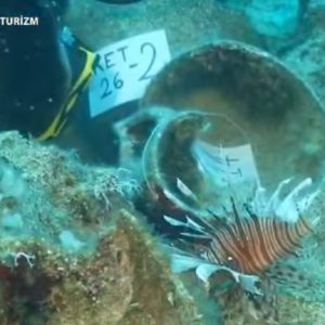 Τουρκία: Εντοπίστηκε το αρχαιότερο ναυάγιο στον κόσμο - Πλοίο 4.700 ετών με πιθανό προορισμό την Κρήτη