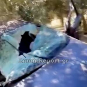 Φθιώτιδα: Βγήκαν εκτός δρόμου και έπεσαν πάνω στις ελιές - Διαλύθηκε το αυτοκίνητο