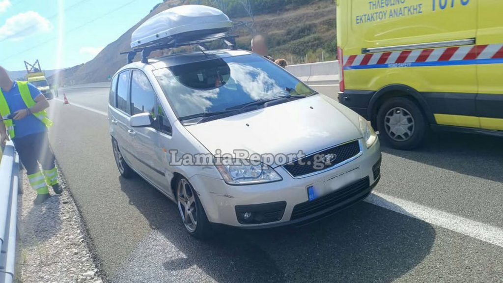 Ε65: Στις μπάρες κατέληξε Ι.Χ στο ύψος του κόμβου Ξυνιάδας - Σώοι οδηγός και σκυλάκι (ΦΩΤΟ)