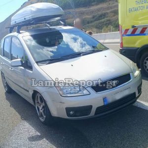 Ε65: Στις μπάρες κατέληξε Ι.Χ στο ύψος του κόμβου Ξυνιάδας - Σώοι οδηγός και σκυλάκι (ΦΩΤΟ)