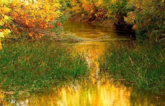 Φθιώτιδα: Στον Εισαγγελέα τα «χρυσά βοσκοτόπια» του Δομοκού!