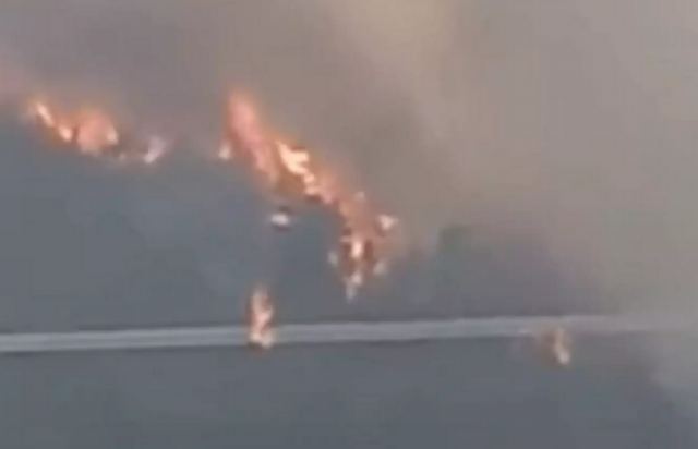 Φωτιά στον Έβρο: Ολονύχτια μάχη για να σωθεί η Δαδιά - Σε πυκνό πευκοδάσος οι φλόγες