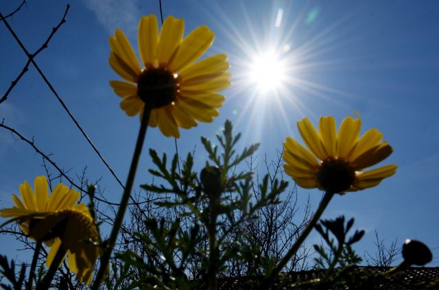 Καιρός Σαββατοκύριακο: Μέχρι 12 βαθμούς ανεβαίνει η θερμοκρασία