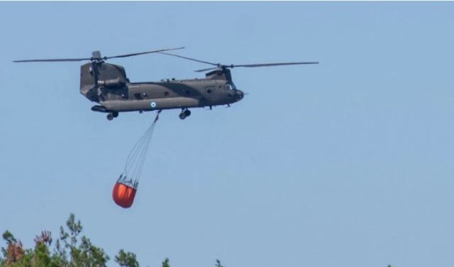 Φωτιά στον Έβρο: Νέες αντιπυρικές ζώνες στο νοτιοδυτικό τμήμα του Εθνικού Πάρκου Δαδιάς