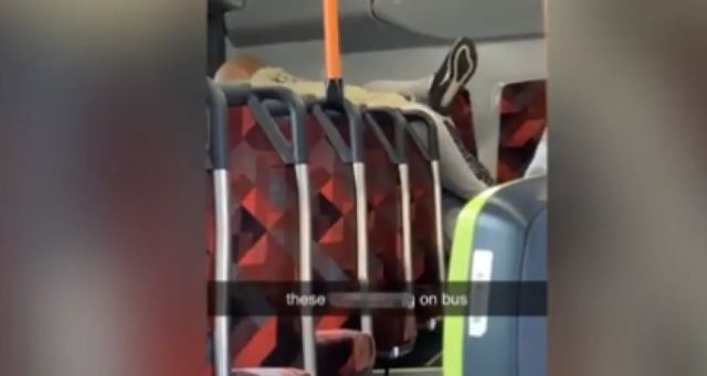 Αυστραλία: Ζευγάρι έκανε σεξ σε λεωφορείο - Έξαλλοι οι επιβάτες (βίντεο)
