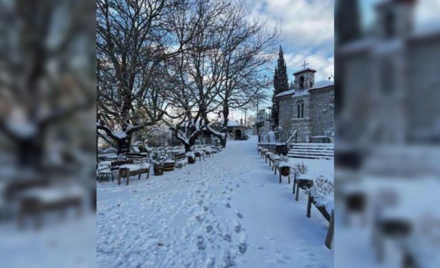 Βάργιανη: Το κρυφό μυστικό του Παρνασσού