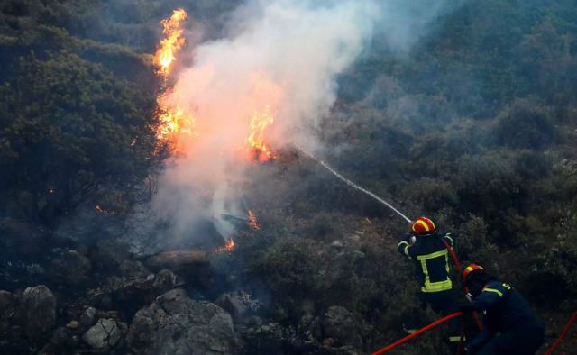 Φωτιά στη Βούλα: «Η εντολή είναι οι υποσταθμοί του ΔΕΔΔΗΕ να καθαριστούν έως τέλος Ιουνίου»