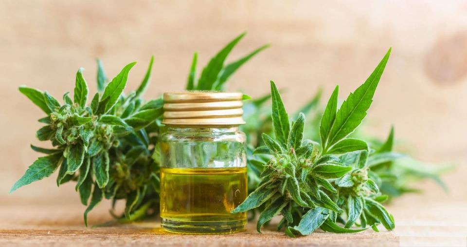 Λαμία: Μάθε με ένα κλικ τα πάντα γύρω από την «Υγεία & Κάνναβη»!