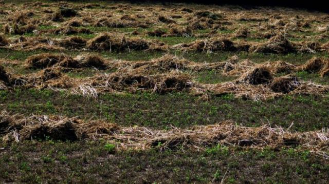 «Ο κουνιάδος μου προσπάθησε να με σκοτώσει για τα χωράφια!»