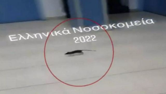 Βίντεο με ποντίκι να βολτάρει σε νοσοκομείο – «Έγινε πανικός με τον κόσμο να φωνάζει»