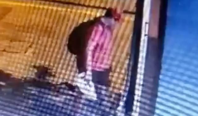 Θεσσαλονίκη: Γνωστός στις αρχές ο άνδρας που ποδοπάτησε γατάκι - Έχει επιτεθεί ξανά σε ανθρώπους και ζώα