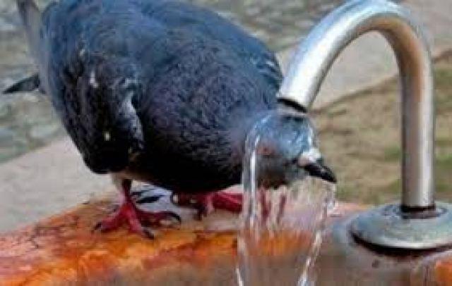 Έρχεται ένας από τους ισχυρότερους καύσωνες της δεκαετίας!