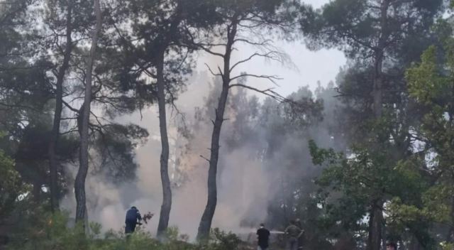 Φωτιά στον Έβρο: Αναζωπυρώσεις στη Δαδιά - Στη «μάχη» 10 εναέρια μέσα