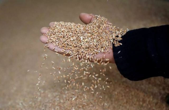 Η Ουκρανία εξήγαγε κατά 80% περισσότερα σιτηρά και φυτικά έλαια τον Μάιο