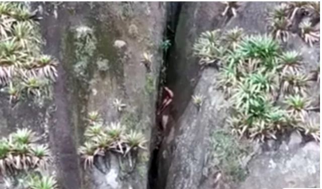 Άνδρας έπεσε σε χαράδρα γυμνός και δεν ήξερε γιατί δεν φόραγε ρούχα ούτε το πώς βρέθηκε εκεί