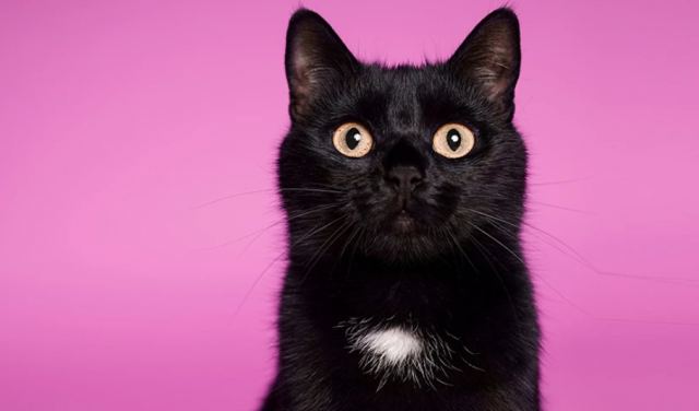 Παρασκευή και 13: Γιατί θεωρείται γρουσούζικη μέρα