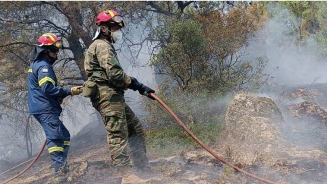 Μεγάλη αναζωπύρωση στη Δαδιά - Μήνυμα από 112 για εκκένωση προς Σουφλί