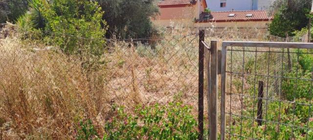 Λαμία: Οικόπεδο «πυριτιδαποθήκη» στο Παγκράτι - Δείτε εικόνες