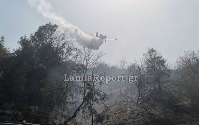 Υπό έλεγχο η πυρκαγιά στη Συκά Υπάτης (ΒΙΝΤΕΟ-ΦΩΤΟ)