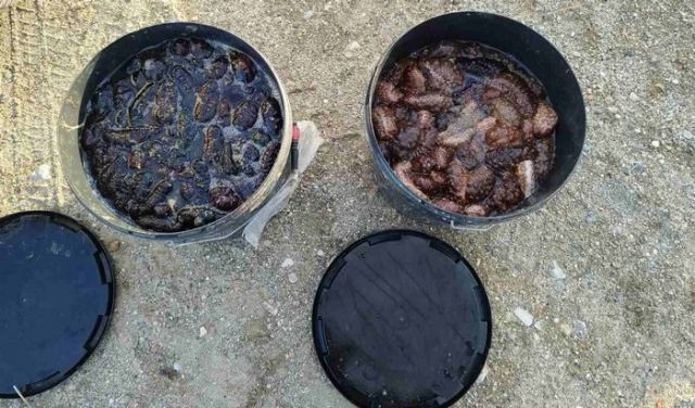 Τον έπιασαν με τα ολοθούρια