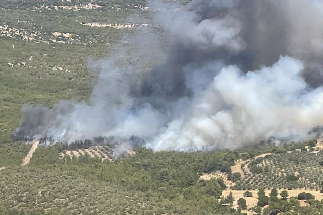 Μεγάλη φωτιά στα Μέγαρα - Προληπτική εκκένωση - Μήνυμα από το 112