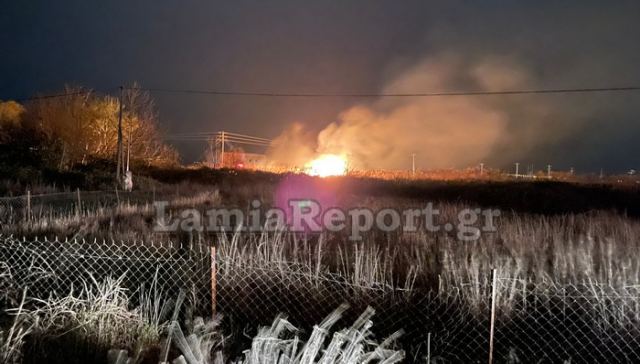 Λαμία: Πυρκαγιά σε χόρτα δίπλα στην εθνική (ΦΩΤΟ)