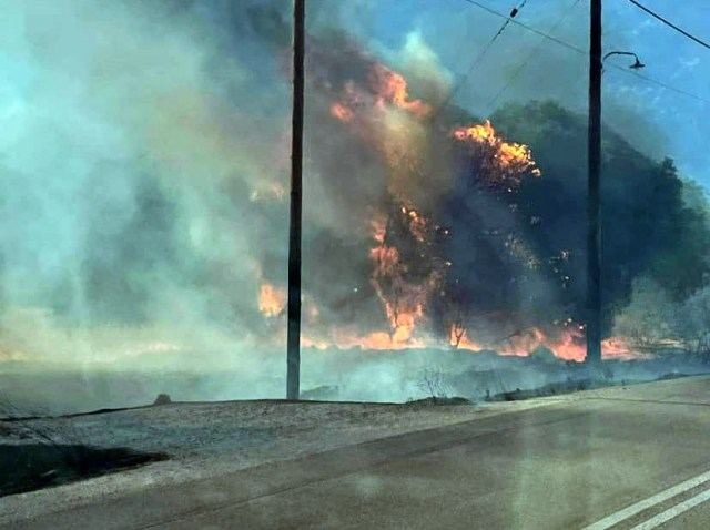 Ο ΦΟΔΣΑ για την πυρκαγιά δίπλα στον ΧΥΤΑ Θήβας