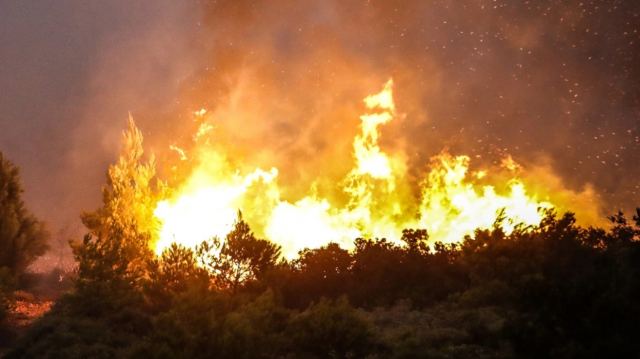 Τρίτη νύχτα εφιάλτη για τη Δαδιά Έβρου - Μεγάλη η οικολογική καταστροφή, απειλείται το χωριό