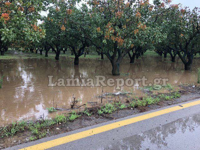 Πλημμύρισε και η Δυτική Φθιώτιδα