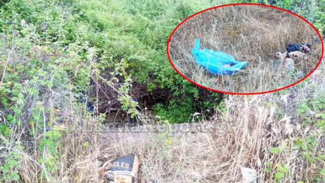 Λαμία: Πέταξε τη σακούλα με τα νεογέννητα κουτάβια στο ρέμα