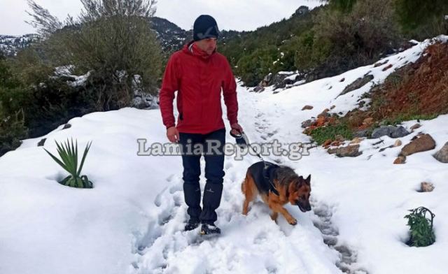 Εύβοια: Με ειδικό σκύλο της 7ης ΕΜΑΚ οι έρευνες για τον αγνοούμενο ηλικιωμένο (ΒΙΝΤΕΟ)