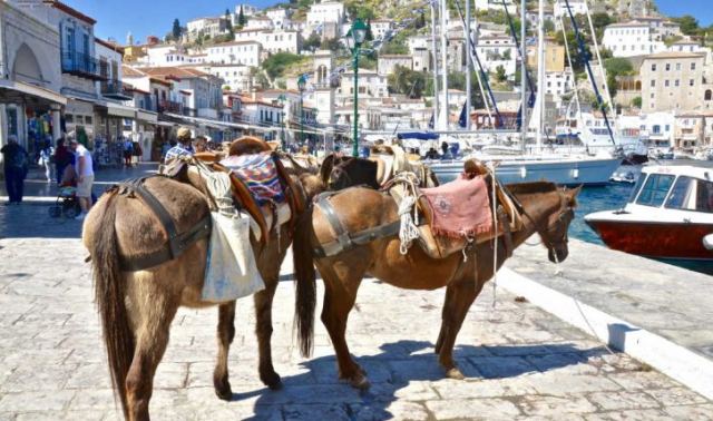 Δήμαρχος Ύδρας για γαϊδούρια: Δεν είναι κακοποίηση αλλά η καθημερινότητα του νησιού εδώ και 200 χρόνια