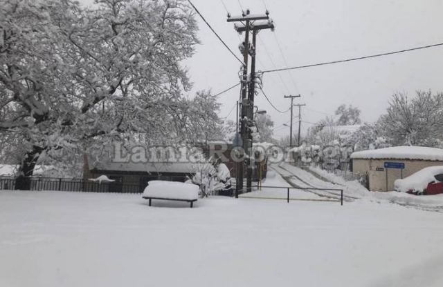 Το μισό μέτρο έφτασε το χιόνι στο Νεοχώρι Δομοκού (ΦΩΤΟ)