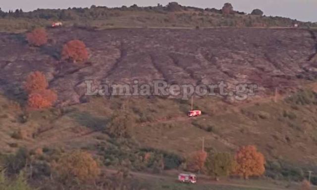 Πυρκαγιά στην περιοχή της Αμφίκλειας (ΦΩΤΟ)