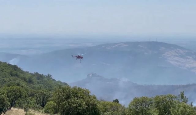 Φωτιά στη Δαδιά: Καλή η εικόνα σήμερα – Δεν υπάρχει ενεργό μέτωπο