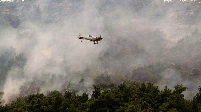 Φωτιά στον Έβρο – Ένας νεκρός μετανάστης στη Λευκίμμη