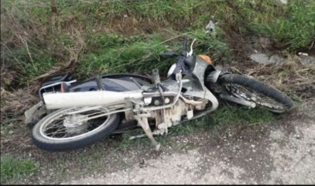 Έπεσε σε δέντρο και τραυματίστηκε σοβαρά