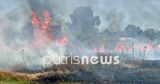 Φωτιά στην Ηλεία – Απειλεί δύο χωριά στην Ανδρίτσαινα