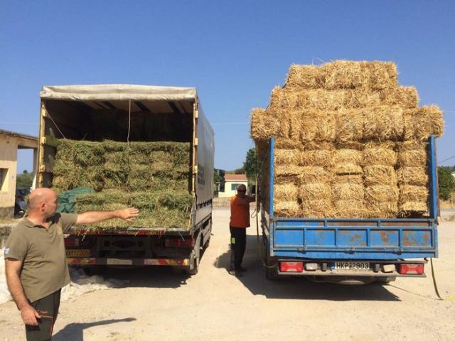 Παράταση υποβολής αιτήσεων για ζωοτροφές