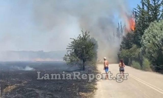 Συναγερμός για φωτιά στα διόδια Πελασγίας - ΒΙΝΤΕΟ