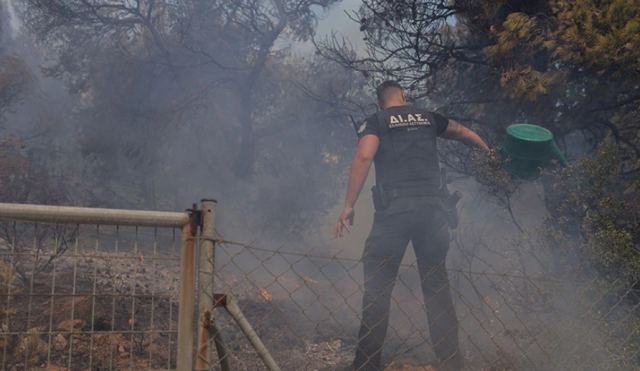 Φωτιά στην Πεντέλη: 930 αστυνομικοί στα μέτωπα – Τουλάχιστον 680 απεγκλωβισμοί, 24ωρες περιπολίες