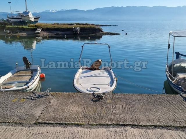 Τα συγχαρητήρια της Ένωσης Προσωπικού Λιμενικού Σώματος στους συναδέλφους που έσωσαν 66χρονο από πνιγμό