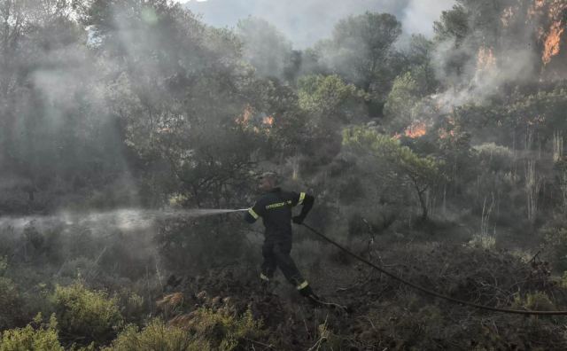 Λέσβος: Σύλληψη 28χρονου κτηνοτρόφου για τη φωτιά στο Μανταμάδο