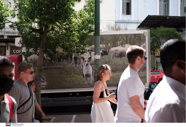 Κορωνοϊός: 73.710 κρούσματα την τελευταία εβδομάδα – 258 νεκροί και 118 διασωληνωμένοι